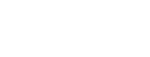 Business Commandos