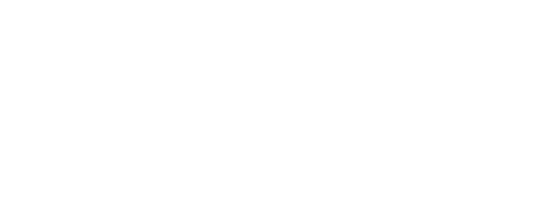 Business Commandos