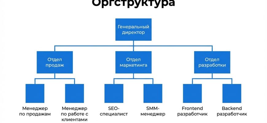 Организационная структура компании — схема управления и подчинения