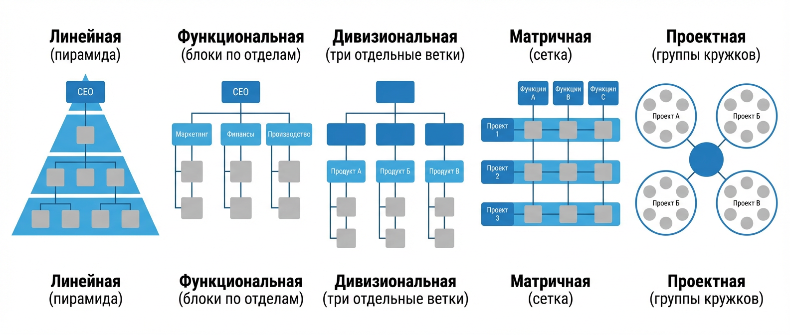 Виды организационных структур: линейная, функциональная, дивизиональная, матричная, проектная