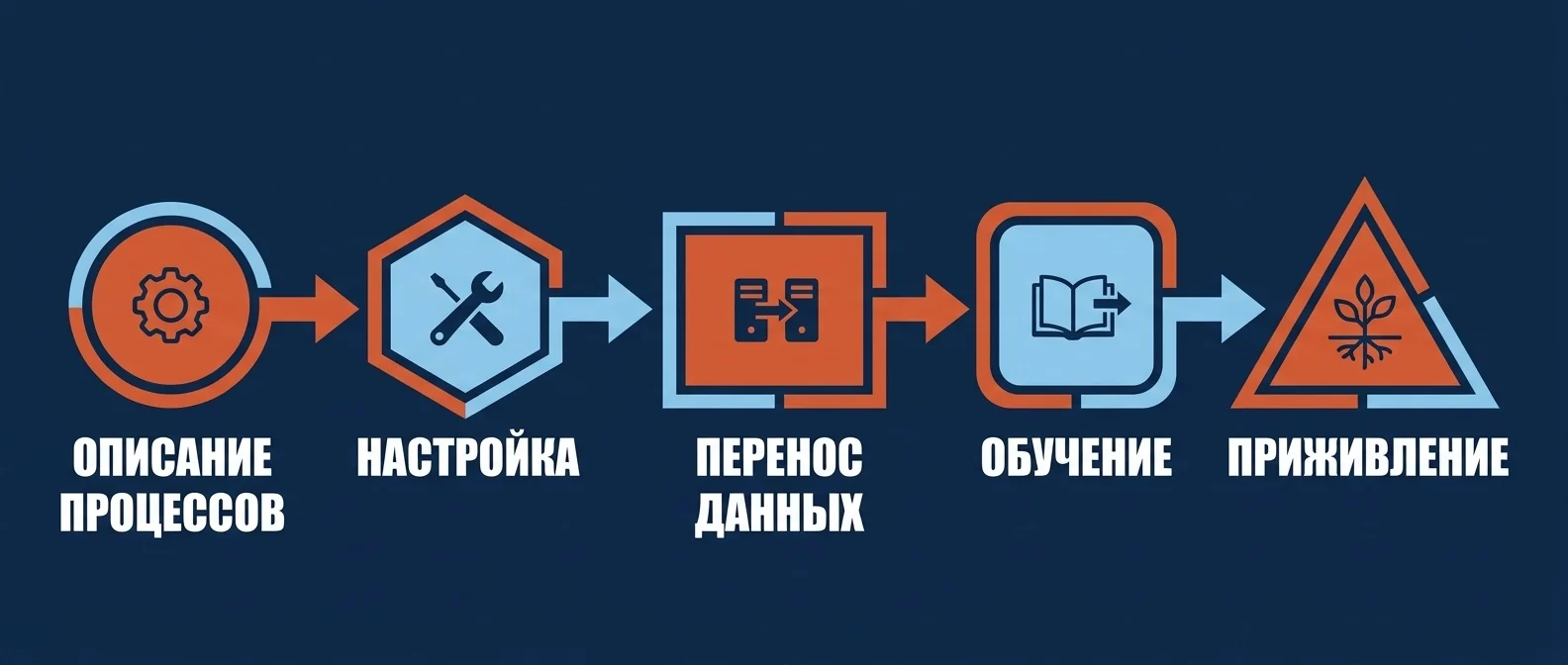 Пять работ внедрения Битрикс24: описание процессов, настройка, перенос данных, обучение, приживление